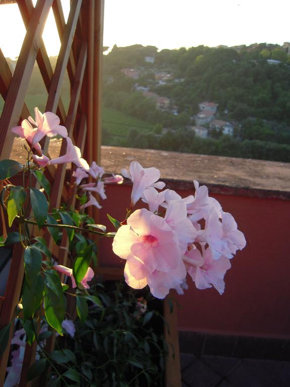 Casa Vacanze Palazzo Primoli Арічча Екстер'єр фото